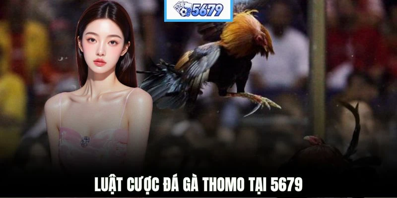 Luật cược đá gà Thomo tại 5679
